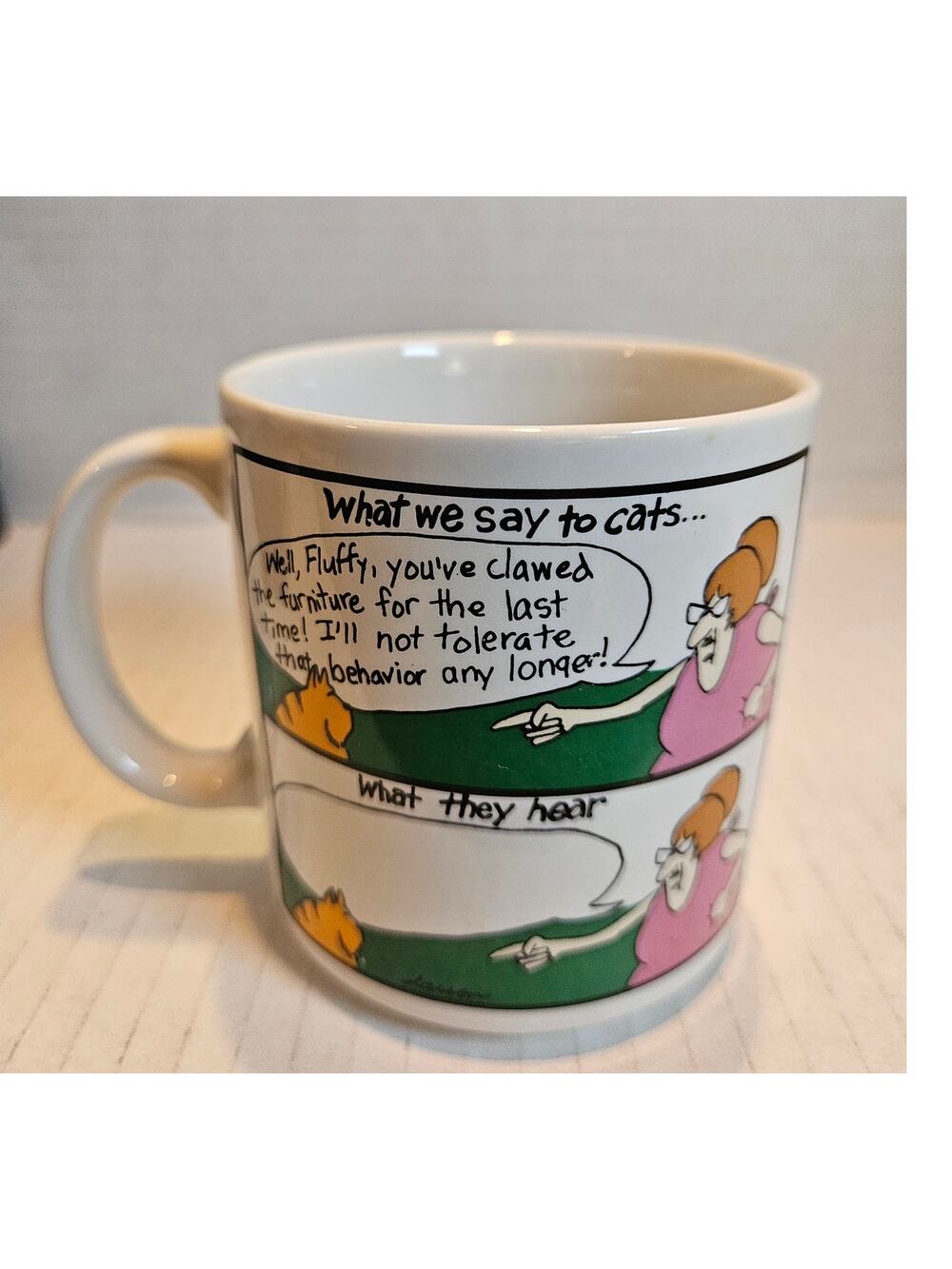 Far Side Mug What We Say to Cats What They Hear Gary Larson 1983 Coffee mug